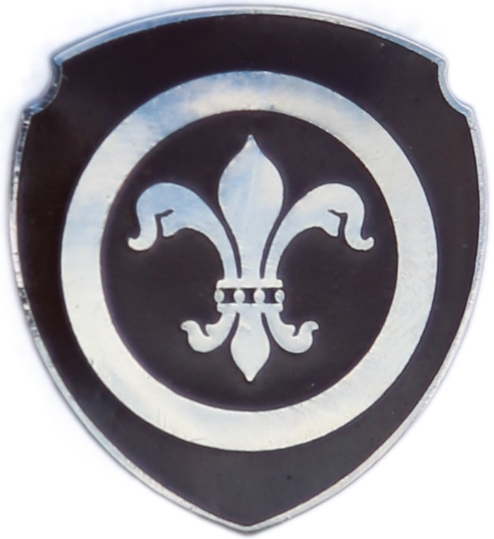 Type 1